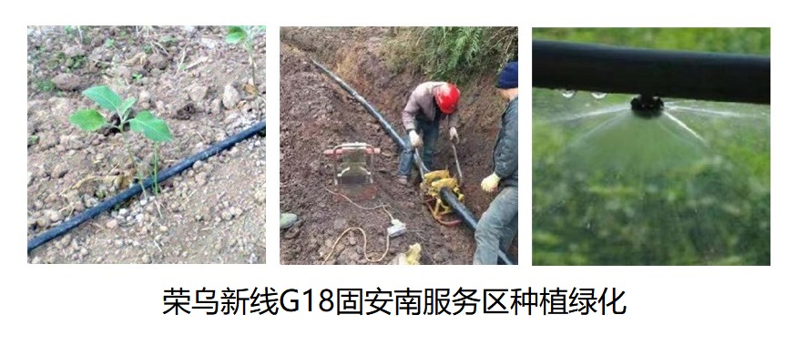荣乌新线G18固安南服务区种植绿化